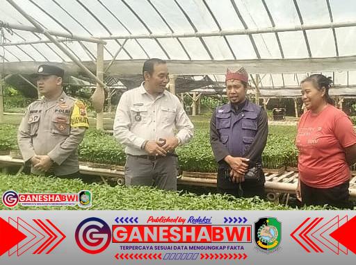 Polsek Cluring Pantau Kebun Tomat Warga Sarimulyo, Dukung Program Ketahanan Pangan Presiden Polsek Cluring Pantau Kebun Tomat Warga Sarimulyo, Dukung Program Ketahanan Pangan Presiden