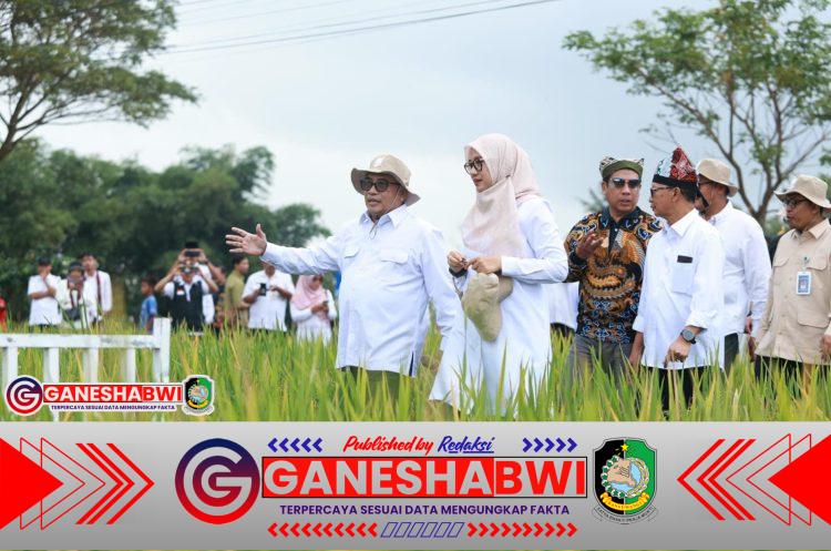 Banyuwangi Luncurkan Sunwangi, Beras Biofortifikasi Bernutrisi Tinggi Skala Industri Pertama di Indonesia