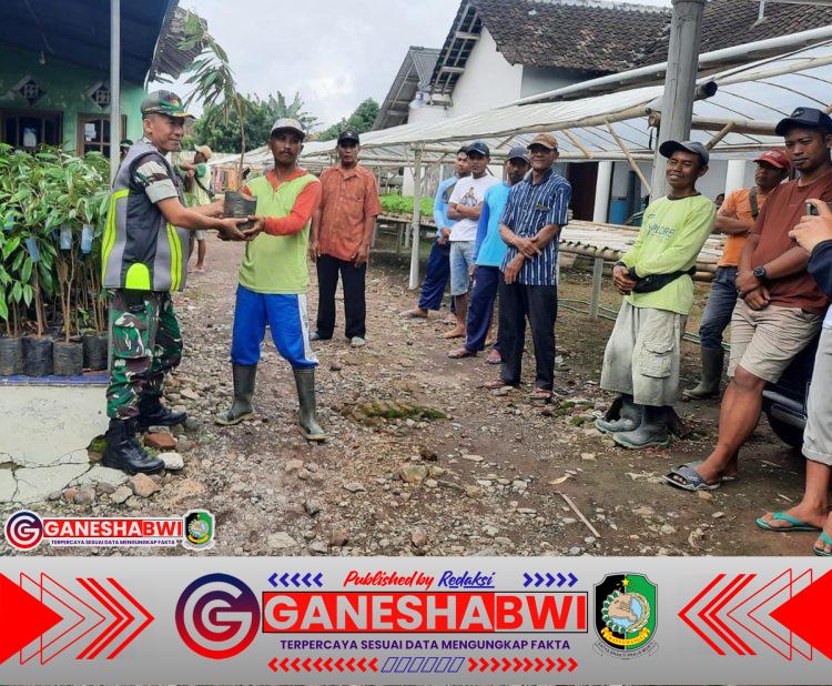 Danramil 0825/06 Gambiran Salurkan Ribuan Bibit Durian Unggul untuk Dorong Kesejahteraan Petani Poktan Citarum Danramil 0825/06 Gambiran Salurkan Ribuan Bibit Durian Unggul untuk Dorong Kesejahteraan Petani Poktan Citarum