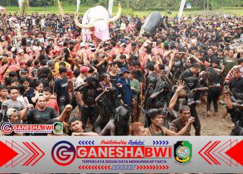 Ribuan Pengunjung Padati Ritual Keboan Aliyan Banyuwangi, Atraksi Budaya Unik Osing Jadi Daya Tarik Wisata
