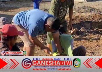 KOMUNITAS INFO WARGA BANYUWANGI GELAR KURBAN 1 EKOR SAPI DAN 1 EKOR KAMBING