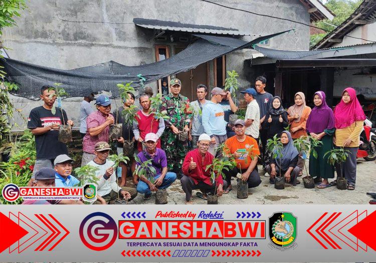 Babinsa Koramil 0825/07 Cluring dan Warga Tanam Pohon Alpukat Demi Kelestarian Lingkungan Babinsa Koramil 0825/07 Cluring dan Warga Tanam Pohon Alpukat Demi Kelestarian Lingkungan
