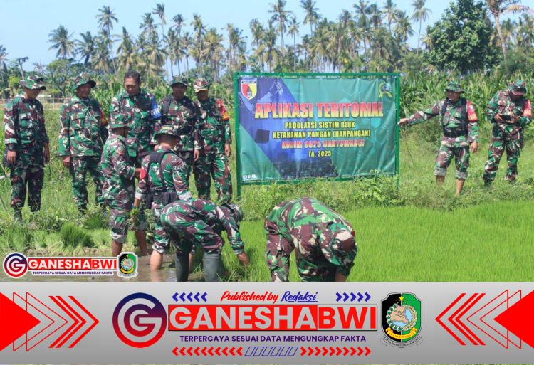 Kodim 0825 Banyuwangi Laksanakan Proglatsi di Desa Sobo, Dukung Ketahanan Pangan Nasional Kodim 0825 Banyuwangi Laksanakan Proglatsi di Desa Sobo, Dukung Ketahanan Pangan Nasional