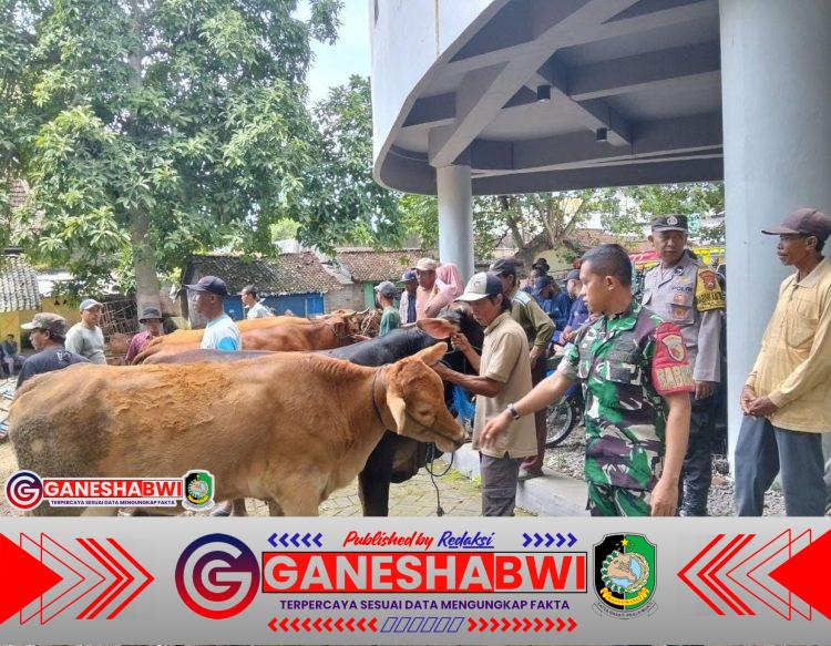 Babinsa Koramil Rogojampi Awasi Kesehatan Hewan Ternak di Pasar Hewan, Dukung Ekonomi Peternak Lokal Babinsa Koramil Rogojampi Awasi Kesehatan Hewan Ternak di Pasar Hewan, Dukung Ekonomi Peternak Lokal