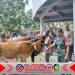 Babinsa Koramil Rogojampi Awasi Kesehatan Hewan Ternak di Pasar Hewan, Dukung Ekonomi Peternak Lokal