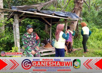 Babinsa Kabat Bantu Petani Tanam Padi, Wujud Dukungan TNI untuk Ketahanan Pangan