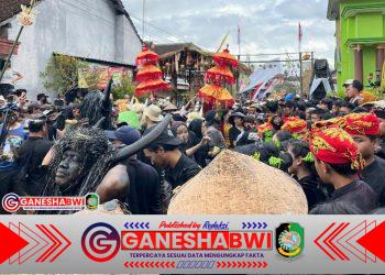 Ritual Kebo-Keboan Alasmalang, Warisan Leluhur yang Jadi Napas Budaya dan Ekonomi Banyuwangi