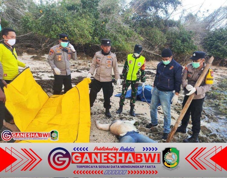 Jenazah Diduga Korban KMP Tunu Pratama Jaya Ditemukan di Pantai Plengkung, Dievakuasi Tim Gabungan