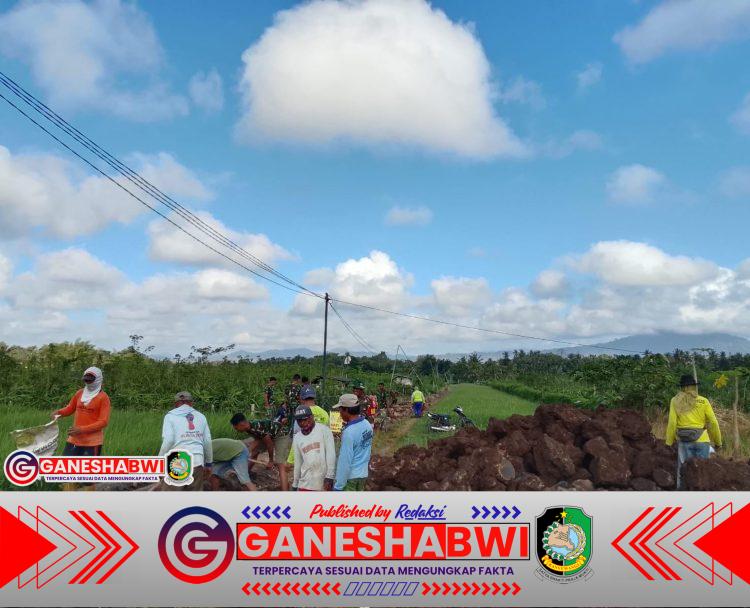 TMMD 125 Banyuwangi Tuntaskan 50 Persen Pembangunan Saluran Irigasi di Siliragung TMMD 125 Banyuwangi Tuntaskan 50 Persen Pembangunan Saluran Irigasi di Siliragung
