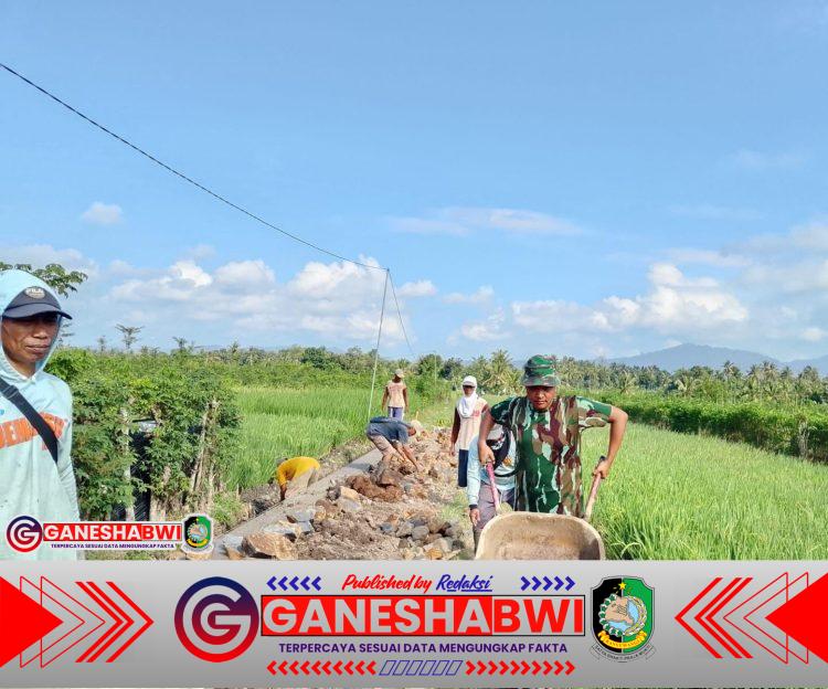 Prajurit TNI dan Warga Kesilir Genjot Pengecoran Irigasi demi Masa Depan Pertanian