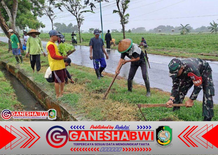 Babinsa Rogojampi Ajak Warga Hijaukan Lingkungan dengan Bunga Celosia