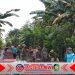 Babinsa Bersama Linmas, Banser, dan Warga Gelar Karya Bakti di Ringintelu Babinsa Bersama Linmas, Banser, dan Warga Gelar Karya Bakti di Ringintelu