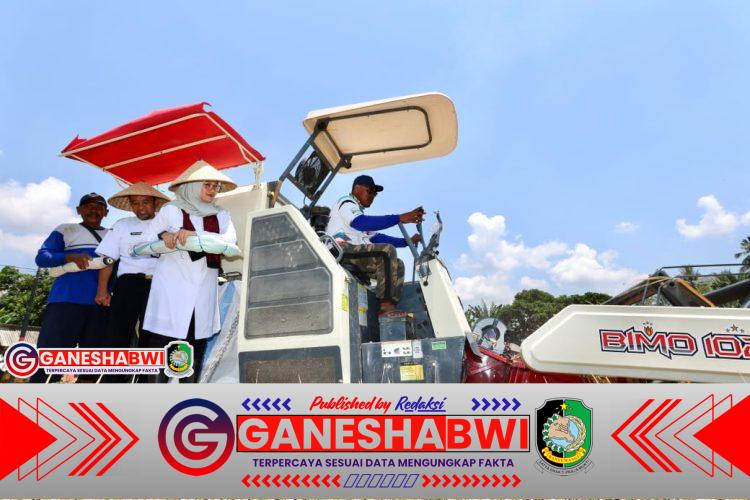 Program Ketahanan Pangan Presiden Prabowo Dongkrak Produksi Pertanian Banyuwangi