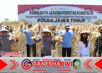 Kapolda Jatim Dampingi Panen Jagung Serentak di Banyuwangi, Hasil 1.445 Ton