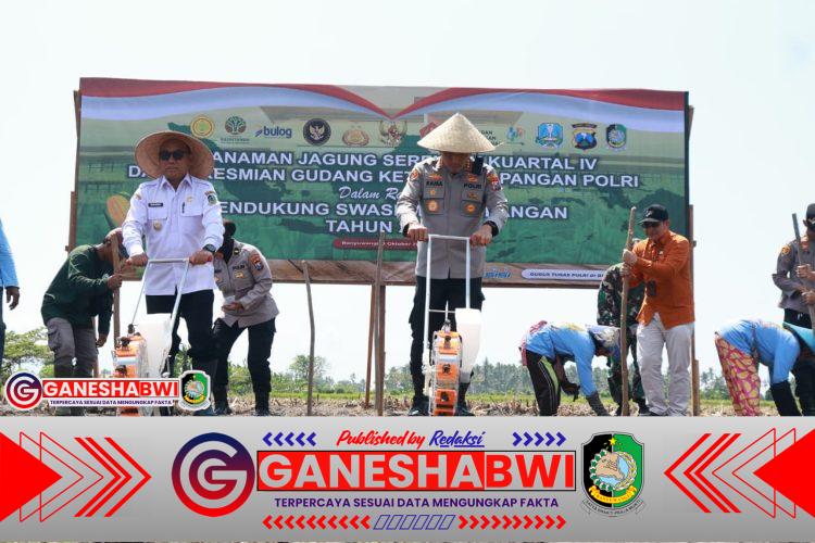 Produksi Capai 199 Ribu Ton, Banyuwangi Gencarkan Tanam Jagung Dukung Swasembada Pangan Nasional Produksi Capai 199 Ribu Ton, Banyuwangi Gencarkan Tanam Jagung Dukung Swasembada Pangan Nasional