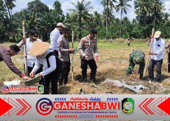 TNI-Polri dan Pemda Blimbingsari Wujudkan Ketahanan Pangan Lewat Penanaman Jagung Serentak dan Peresmian Gudang Pangan