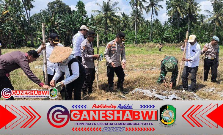 TNI-Polri dan Pemda Blimbingsari Wujudkan Ketahanan Pangan Lewat Penanaman Jagung Serentak dan Peresmian Gudang Pangan TNI-Polri dan Pemda Blimbingsari Wujudkan Ketahanan Pangan Lewat Penanaman Jagung Serentak dan Peresmian Gudang Pangan