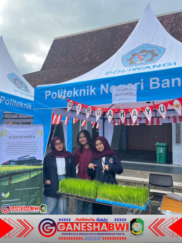 Mahasiswa Poliwangi Kembangkan “Padi Starter” untuk Tanam Modern dan Efisien