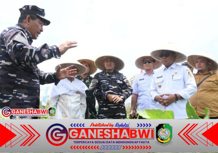 TNI AL Dukung Ketahanan Pangan Nasional, Lanal Banyuwangi Gelar Panen Raya Kedelai TNI AL Dukung Ketahanan Pangan Nasional, Lanal Banyuwangi Gelar Panen Raya Kedelai