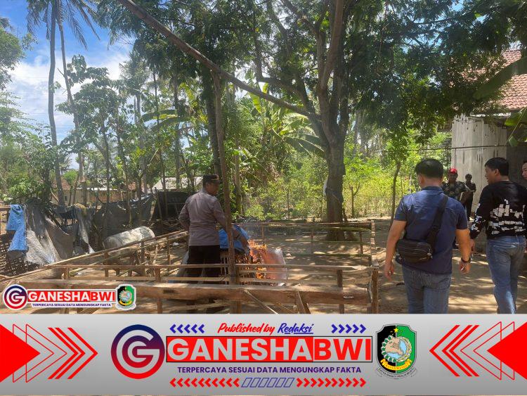 Polsek Kalipuro Gerak Cepat Gerebek Arena Judi Sabung Ayam di Lingkungan Secang Timur Polsek Kalipuro Gerak Cepat Gerebek Arena Judi Sabung Ayam di Lingkungan Secang Timur