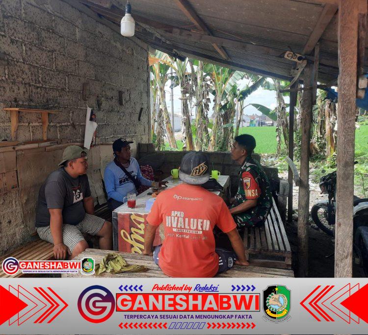 Babinsa Desa Sumber Baru Koramil Singojuruh Gelar Komsos Bersama Kadus dan Warga Babinsa Desa Sumber Baru Koramil Singojuruh Gelar Komsos Bersama Kadus dan Warga