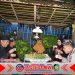 Kodim 0825/Banyuwangi Ikut Sukseskan Festival Ngopi Sepuluh Ewu Cangkir, TNI dan Rakyat Menyatu dalam Hangatnya Seduhan Kopi Kodim 0825/Banyuwangi Ikut Sukseskan Festival Ngopi Sepuluh Ewu Cangkir, TNI dan Rakyat Menyatu dalam Hangatnya Seduhan Kopi