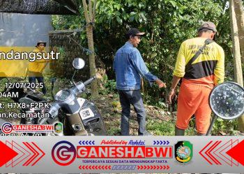Hujan Deras Robohkan Tembok Pasar Srono, Pemkab Banyuwangi Gerak Cepat Lakukan Penanganan