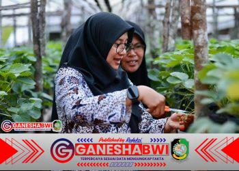 Bupati Ipuk Dorong Warga Lereng Ijen Jadi Pelaku Utama Wisata “Ijen Golden Route”