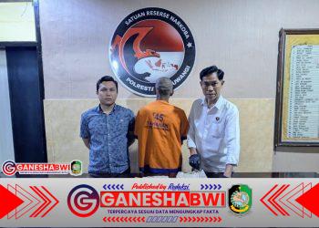 Satresnarkoba Polresta Banyuwangi Bongkar Jaringan Pengedar Ganja di Rogojampi, Satu Pelaku Ditangkap Satresnarkoba Polresta Banyuwangi Bongkar Jaringan Pengedar Ganja di Rogojampi, Satu Pelaku Ditangkap