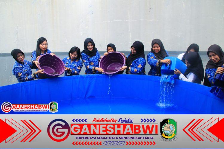 Lapas Banyuwangi Tebar 5.000 Bibit Lele di Kolam Bioflok, Perkuat Ketahanan Pangan Nasional dan Pembinaan Warga Binaan Lapas Banyuwangi Tebar 5.000 Bibit Lele di Kolam Bioflok, Perkuat Ketahanan Pangan Nasional dan Pembinaan Warga Binaan