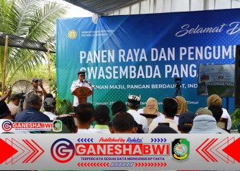 Banyuwangi Jadi Pilar Swasembada Pangan Nasional, Surplus Beras dan Jagung Capai Ratusan Ribu Ton
