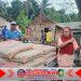 Pemdes Temuguruh Gelar Bedah Rumah Warga Kurang Mampu, Perkuat Gotong Royong dan Kepedulian Sosial Pemdes Temuguruh Gelar Bedah Rumah Warga Kurang Mampu, Perkuat Gotong Royong dan Kepedulian Sosial
