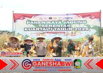 Dukung Ketahanan Pangan, Polresta Banyuwangi Optimalkan Lahan Desa untuk Produksi Jagung Dukung Ketahanan Pangan, Polresta Banyuwangi Optimalkan Lahan Desa untuk Produksi Jagung