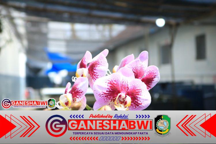 Lapas Banyuwangi Kembangkan Konservasi Tanaman Hias dan Budidaya Ikan untuk Kemandirian Warga Binaan Lapas Banyuwangi Kembangkan Konservasi Tanaman Hias dan Budidaya Ikan untuk Kemandirian Warga Binaan