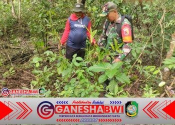 Babinsa Temurejo Pimpin Penanaman 1.000 Bambu Petung, Warga Bangorejo Bersatu Jaga Mata Air Belik Karyo Babinsa Temurejo Pimpin Penanaman 1.000 Bambu Petung, Warga Bangorejo Bersatu Jaga Mata Air Belik Karyo