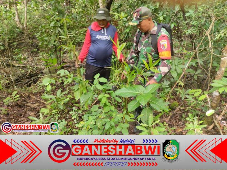Babinsa Temurejo Pimpin Penanaman 1.000 Bambu Petung, Warga Bangorejo Bersatu Jaga Mata Air Belik Karyo Babinsa Temurejo Pimpin Penanaman 1.000 Bambu Petung, Warga Bangorejo Bersatu Jaga Mata Air Belik Karyo