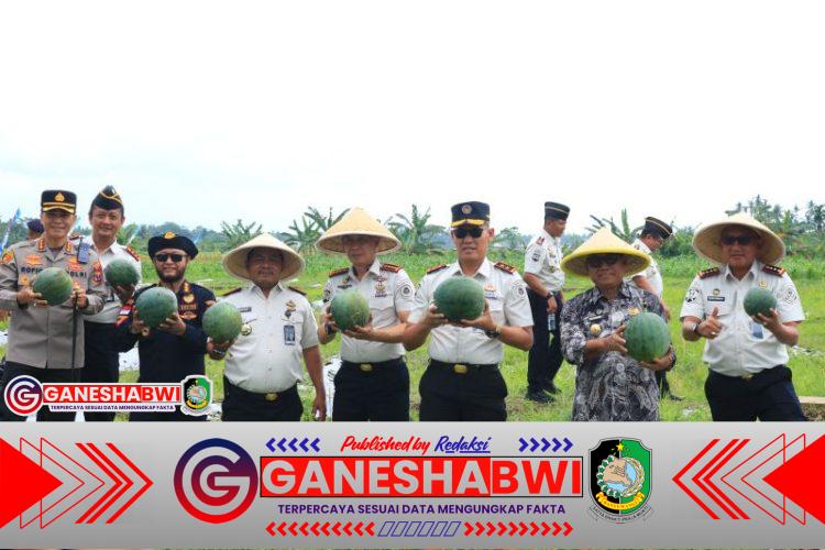 Paswangi Lapas Banyuwangi Jadi Pusat Produktivitas Warga Binaan, Panen Raya Semangka Digelar Paswangi Lapas Banyuwangi Jadi Pusat Produktivitas Warga Binaan, Panen Raya Semangka Digelar
