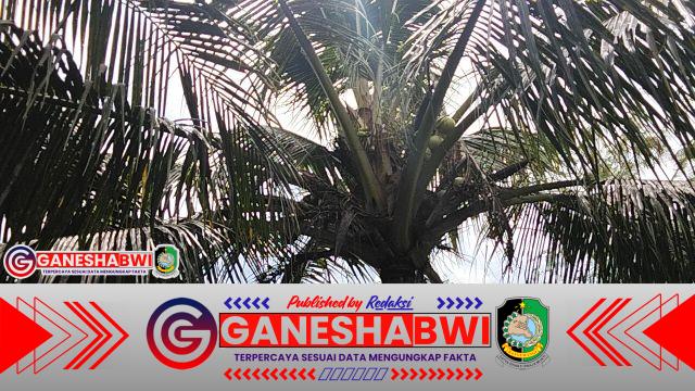 Warga Kembiritan Resah, Santri Ponpes Bustanul Falah Diduga Berulang Kali Rusak dan Ambil Tanaman Milik Masyarakat