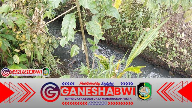 Warga Kembiritan Resah, Santri Ponpes Bustanul Falah Diduga Berulang Kali Rusak dan Ambil Tanaman Milik Masyarakat