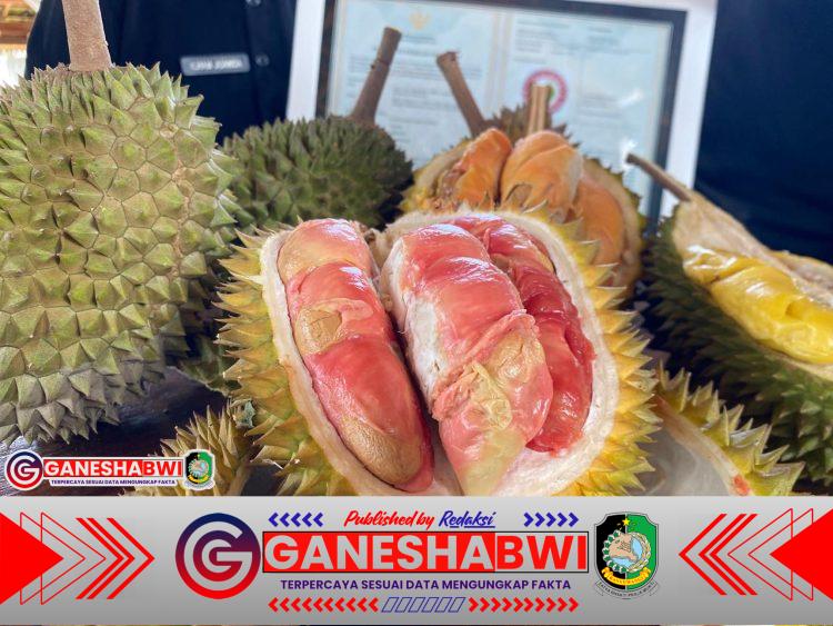 Durian Merah Banyuwangi Resmi Berstatus Indikasi Geografis, Pertama di Indonesia