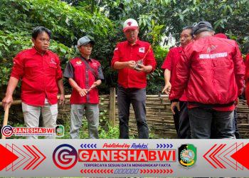 PDI Perjuangan Banyuwangi Tanam Pohon dan Tebar Bibit Ikan di Sumber Air Penawar, Dedikasikan untuk HUT ke-79 Megawati Soekarnoputri PDI Perjuangan Banyuwangi Tanam Pohon dan Tebar Bibit Ikan di Sumber Air Penawar, Dedikasikan untuk HUT ke-79 Megawati Soekarnoputri