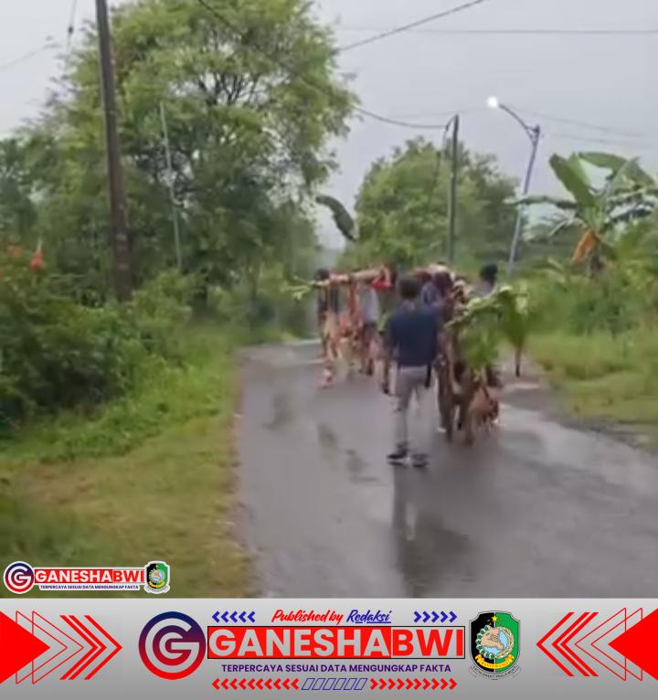Warga Tanam Pisang di Jalan Rusak, Pertanyakan Kontribusi Tambang Emas Tumpang Pitu bagi Infrastruktur Banyuwangi