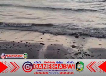 Warga Klatak Laporkan Dugaan Pembuangan Limbah Pabrik Udang ke Laut, DLH Banyuwangi Siapkan Sidak