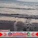 Warga Klatak Laporkan Dugaan Pembuangan Limbah Pabrik Udang ke Laut, DLH Banyuwangi Siapkan Sidak