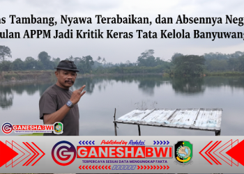 Bekas Tambang, Nyawa Terabaikan, dan Absennya Negara: Usulan APPM Jadi Kritik Keras Tata Kelola Banyuwangi