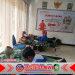 Koramil Kalipuro Perkuat Aksi Kemanusiaan di HUT ke-54 Basarnas, Puluhan Kantong Darah Terkumpul