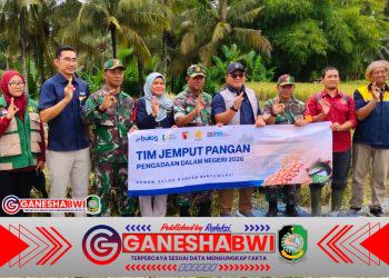 Kodim 0825 Banyuwangi Kawal Sergab, Negara Hadir Jaga Harga Gabah Petani