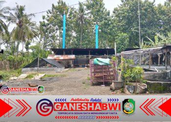 Warga Dusun Sumberjo Kepundungan Srono Banyuwangi Keluhkan Dampak Limbah Usaha Pemotongan Ayam Warga Dusun Sumberjo Kepundungan Srono Banyuwangi Keluhkan Dampak Limbah Usaha Pemotongan Ayam