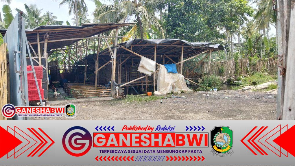 Warga Dusun Sumberjo Kepundungan Srono Banyuwangi Keluhkan Dampak Limbah Usaha Pemotongan Ayam