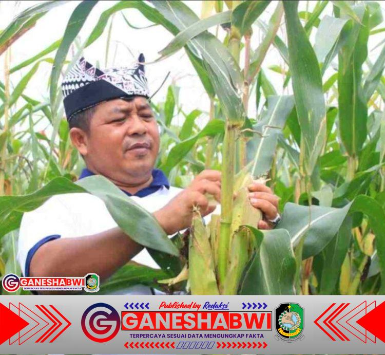 Sosok Pengayom Itu Berpindah Tugas: Jejak Kemanusiaan I Wayan Nurasta Wibawa Tetap Hidup di Banyuwangi Sosok Pengayom Itu Berpindah Tugas: Jejak Kemanusiaan I Wayan Nurasta Wibawa Tetap Hidup di Banyuwangi